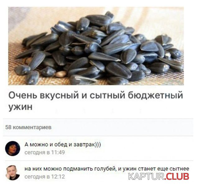1527327162_kartinki_16.jpg | Рено Каптур Клуб Россия | Форум KAPTUR.SU