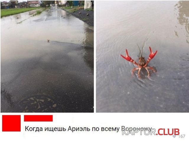1527426147_1526722727_kartinki_08.jpg | Рено Каптур Клуб Россия | Форум KAPTUR.SU