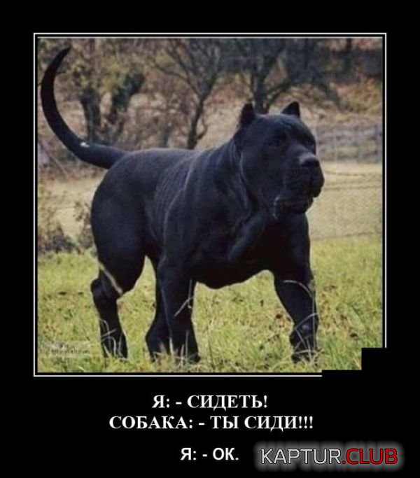1528100240_demotivatory_02.jpg | Рено Каптур Клуб Россия | Форум KAPTUR.SU