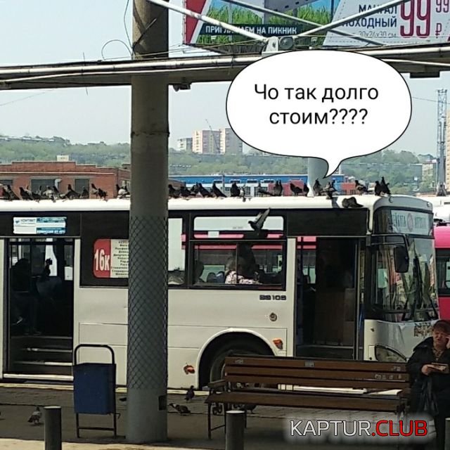 1528104068_podborka_dnevnaya_20.jpg | Рено Каптур Клуб Россия | Форум KAPTUR.SU