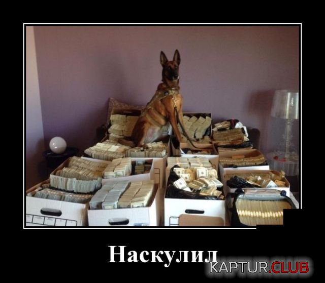 1528135862_demotivatory_28.jpg | Рено Каптур Клуб Россия | Форум KAPTUR.SU