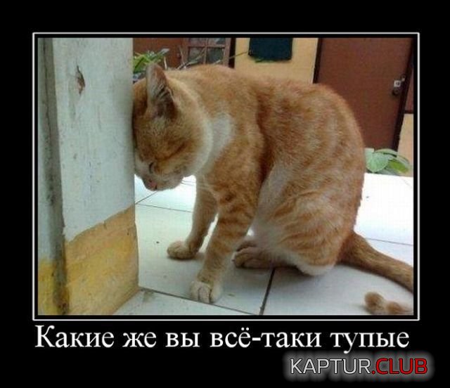 1528278547_demotivatory_03.jpg | Рено Каптур Клуб Россия | Форум KAPTUR.SU