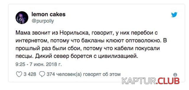 1528981243_podborka_dnevnaya_16.jpg | Рено Каптур Клуб Россия | Форум KAPTUR.SU
