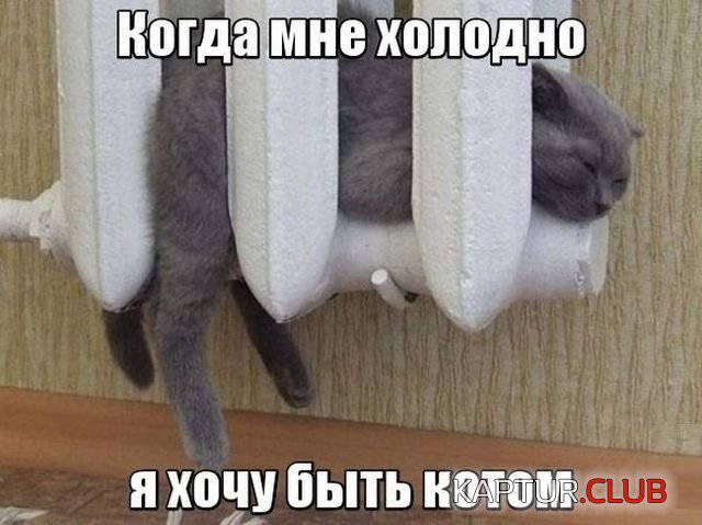 1529227915_kartinki_04.jpg | Рено Каптур Клуб Россия | Форум KAPTUR.SU