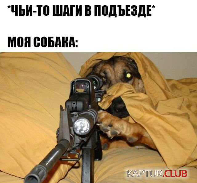1529394121_podborka_dnevnaya_04.jpg | Рено Каптур Клуб Россия | Форум KAPTUR.SU