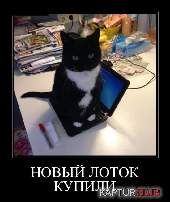 1529668269_demotivatory_23.jpg | Рено Каптур Клуб Россия | Форум KAPTUR.SU