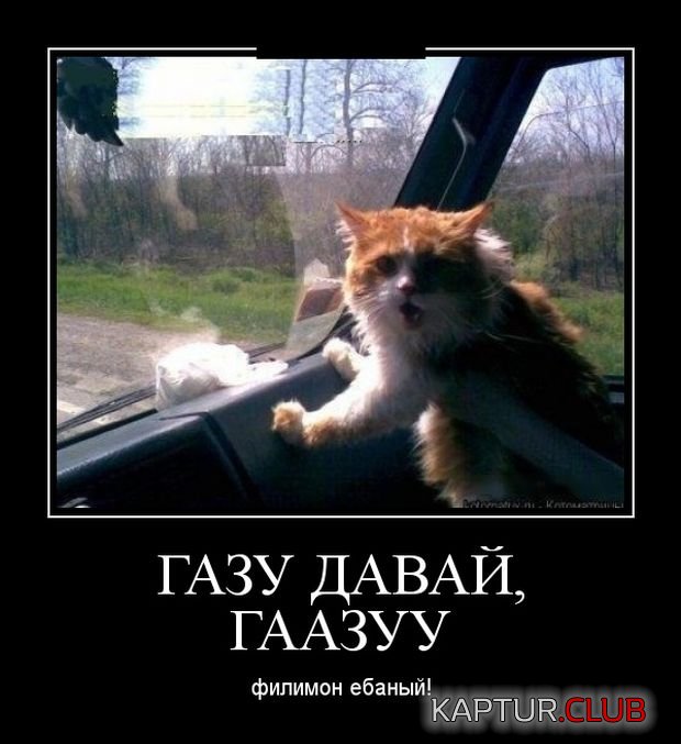 1529668273_demotivatory_14.jpg | Рено Каптур Клуб Россия | Форум KAPTUR.SU