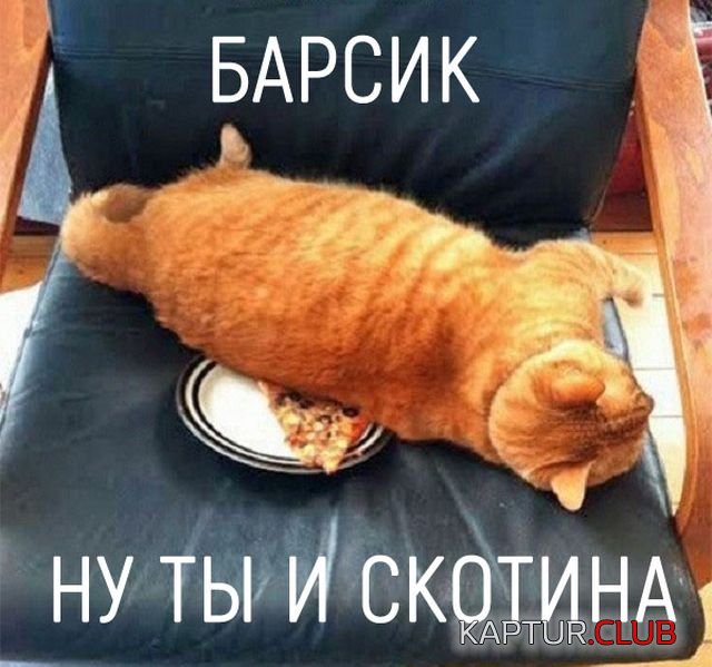 1529832079_kartinki_02.jpg | Рено Каптур Клуб Россия | Форум KAPTUR.SU
