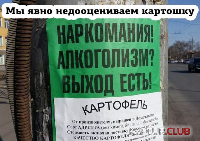 1529832113_kartinki_01.jpg | Рено Каптур Клуб Россия | Форум KAPTUR.SU