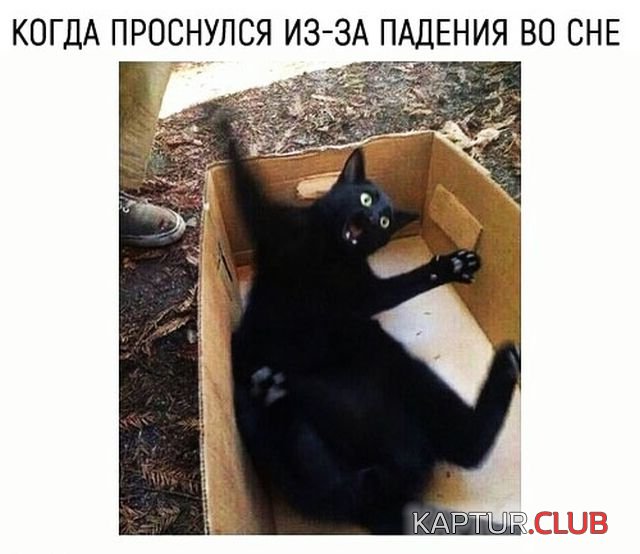 1529832118_kartinki_21.jpg | Рено Каптур Клуб Россия | Форум KAPTUR.SU