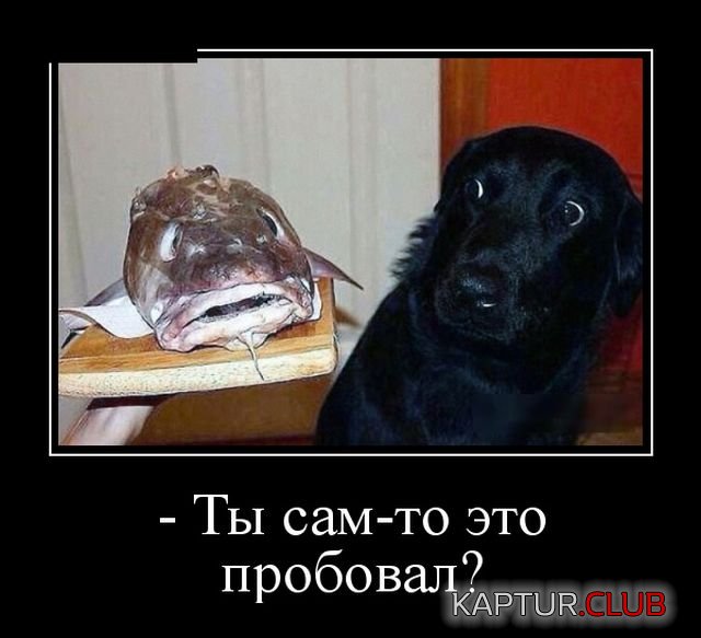 1530087088_demotivatory_10.jpg | Рено Каптур Клуб Россия | Форум KAPTUR.SU