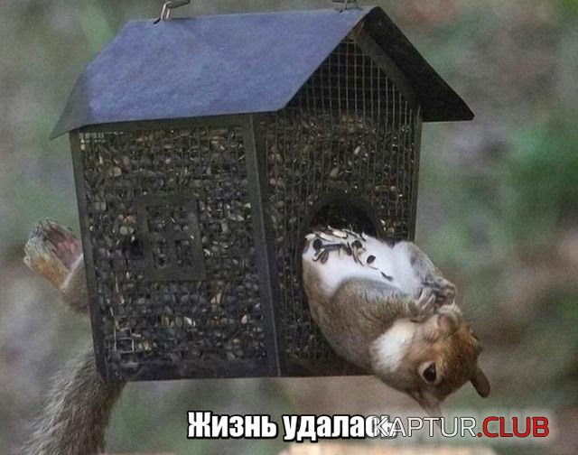 1530259319_podborka_vecher_01.jpg | Рено Каптур Клуб Россия | Форум KAPTUR.SU
