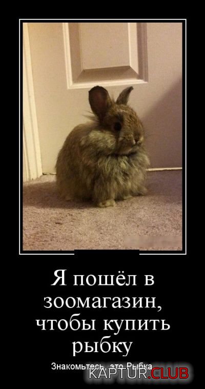 1530261295_demotivatory_22.jpg | Рено Каптур Клуб Россия | Форум KAPTUR.SU