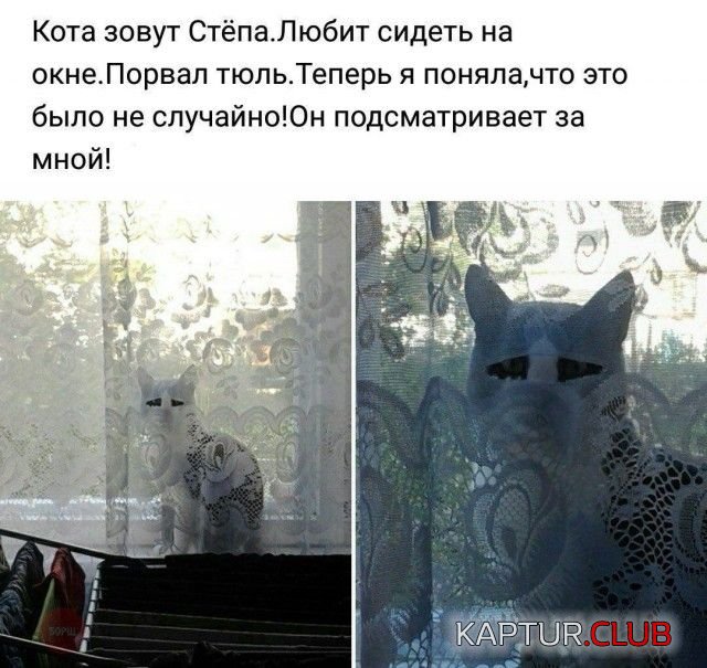 1530282205_kartinki_11.jpg | Рено Каптур Клуб Россия | Форум KAPTUR.SU