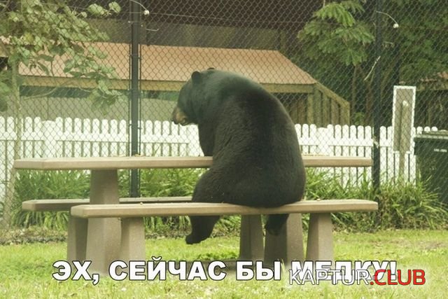 1530282303_kartinki_13.jpg | Рено Каптур Клуб Россия | Форум KAPTUR.SU