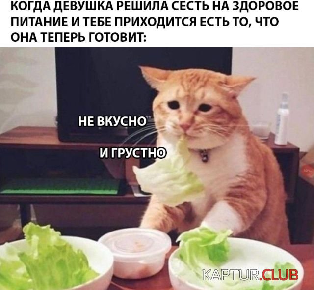 1530777222_podborka_dnevnaya_27.jpg | Рено Каптур Клуб Россия | Форум KAPTUR.SU