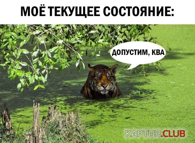 1530905976_00.jpg | Рено Каптур Клуб Россия | Форум KAPTUR.SU