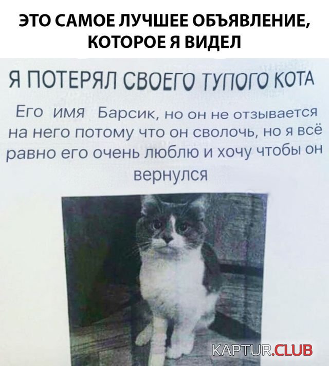 1531047235_kartinki_09.jpg | Рено Каптур Клуб Россия | Форум KAPTUR.SU