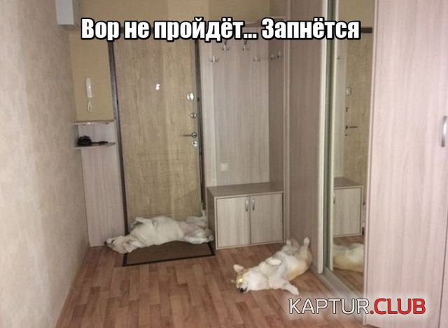 1531212486_podborka_vecher_14.jpg | Рено Каптур Клуб Россия | Форум KAPTUR.SU