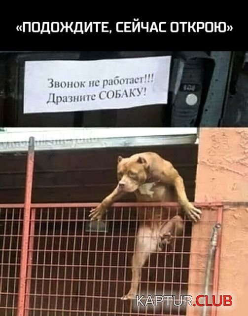 1531599610_kartinki_17.jpg | Рено Каптур Клуб Россия | Форум KAPTUR.SU