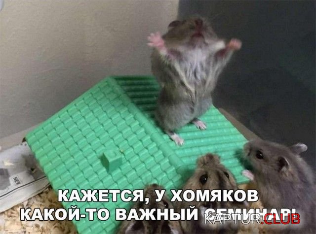 1531599623_kartinki_04.jpg | Рено Каптур Клуб Россия | Форум KAPTUR.SU