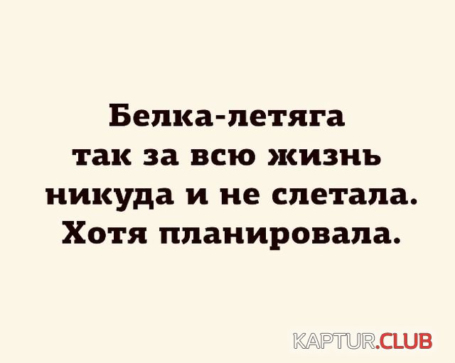 1531725759_podborka_dnevnaya_12.jpg | Рено Каптур Клуб Россия | Форум KAPTUR.SU