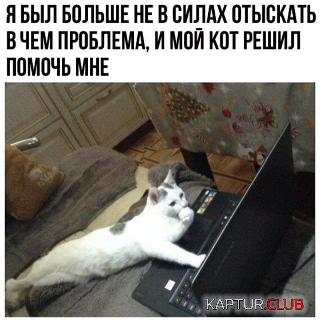 1532867696_1532106688_kartinki_14.jpg | Рено Каптур Клуб Россия | Форум KAPTUR.SU