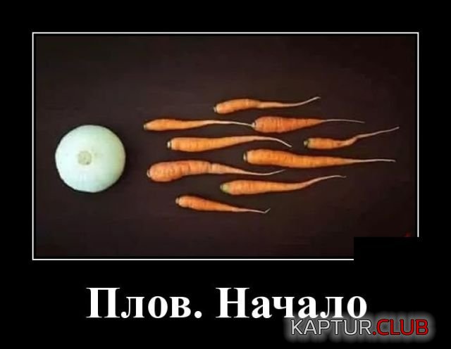 1533111125_demotivatory_16.jpg | Рено Каптур Клуб Россия | Форум KAPTUR.SU