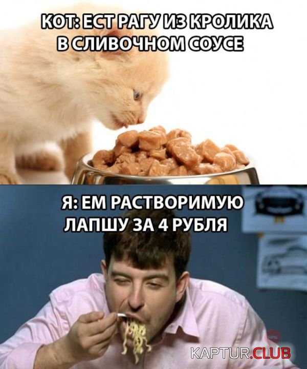 1533543592_podborka_dnevnaya_21.jpg | Рено Каптур Клуб Россия | Форум KAPTUR.SU