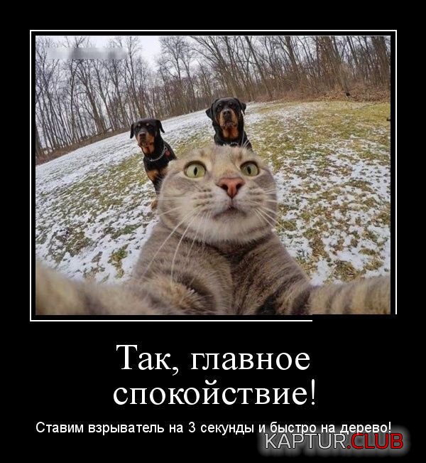 1533583626_demotivatory_03.jpg | Рено Каптур Клуб Россия | Форум KAPTUR.SU