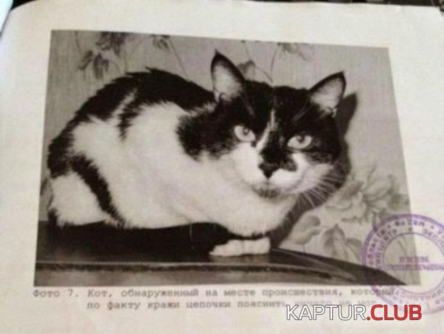 1533802780_borborka_dnevnaya_08.jpg | Рено Каптур Клуб Россия | Форум KAPTUR.SU