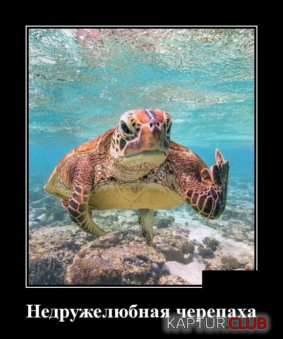 1534753360_demotivatory_17.jpg | Рено Каптур Клуб Россия | Форум KAPTUR.SU