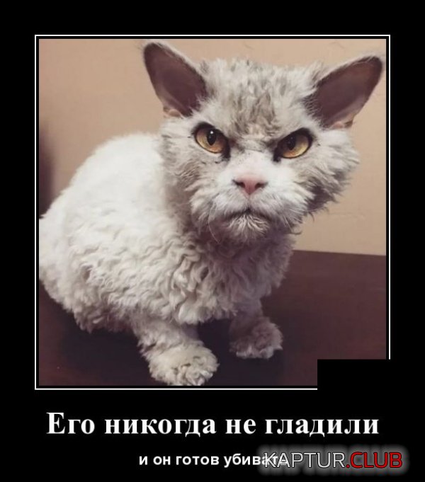 1535362798_demotivatory_22.jpg | Рено Каптур Клуб Россия | Форум KAPTUR.SU