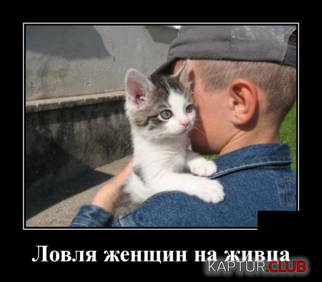 1535371634_demotivatory_04.jpg | Рено Каптур Клуб Россия | Форум KAPTUR.SU