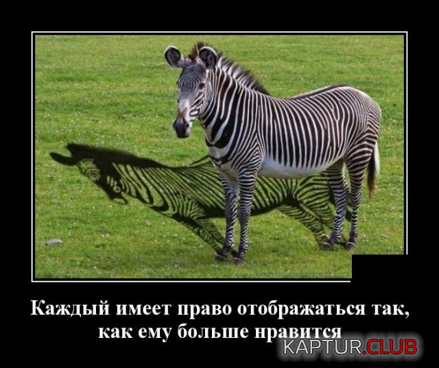1535371683_demotivatory_14.jpg | Рено Каптур Клуб Россия | Форум KAPTUR.SU
