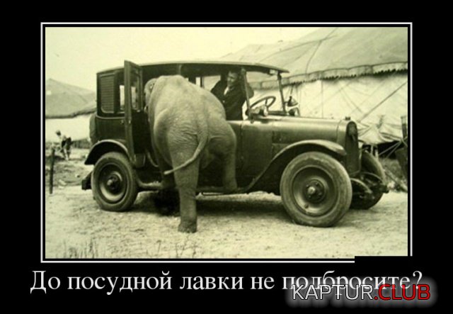 1535429399_demotivatory_04.jpg | Рено Каптур Клуб Россия | Форум KAPTUR.SU