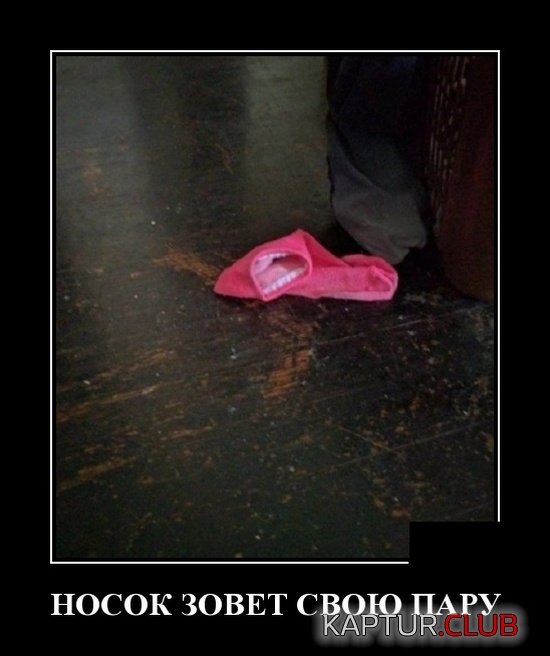 1535429406_demotivatory_08.jpg | Рено Каптур Клуб Россия | Форум KAPTUR.SU