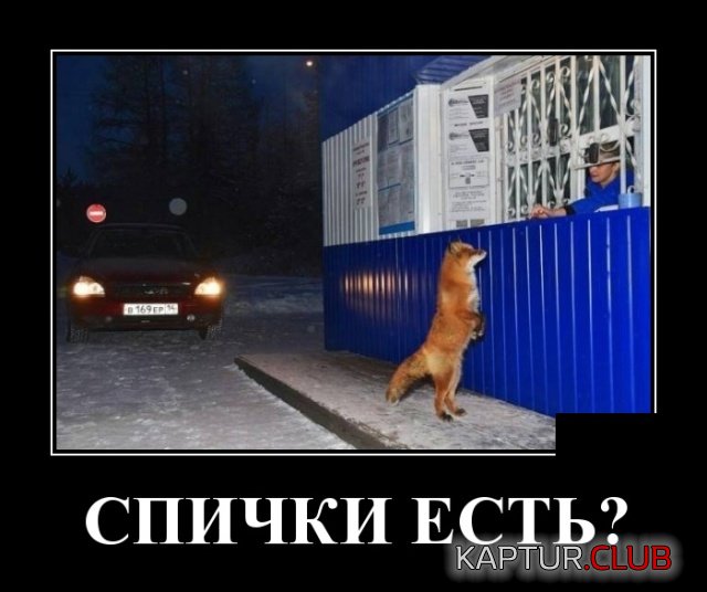 1535429448_demotivatory_20.jpg | Рено Каптур Клуб Россия | Форум KAPTUR.SU
