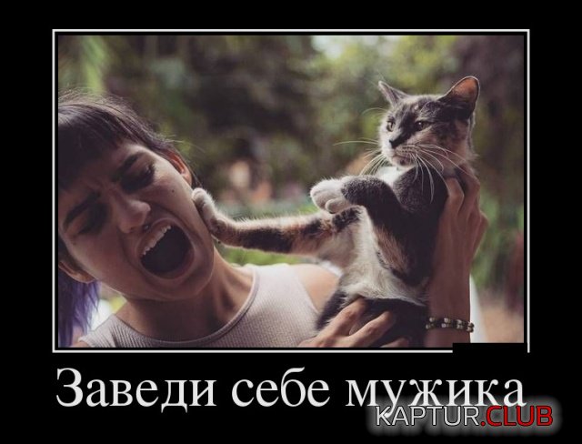 1537016735_demotivatory_18.jpg | Рено Каптур Клуб Россия | Форум KAPTUR.SU
