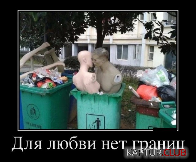 1537016780_demotivatory_14.jpg | Рено Каптур Клуб Россия | Форум KAPTUR.SU