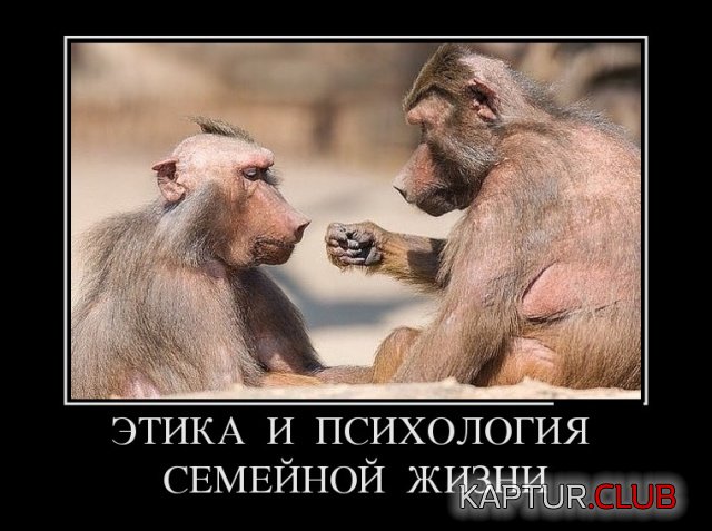 1537171260_demotivatory_21.jpg | Рено Каптур Клуб Россия | Форум KAPTUR.SU