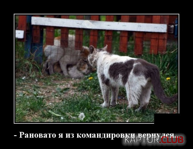 1537519426_demotivatory_14.jpg | Рено Каптур Клуб Россия | Форум KAPTUR.SU