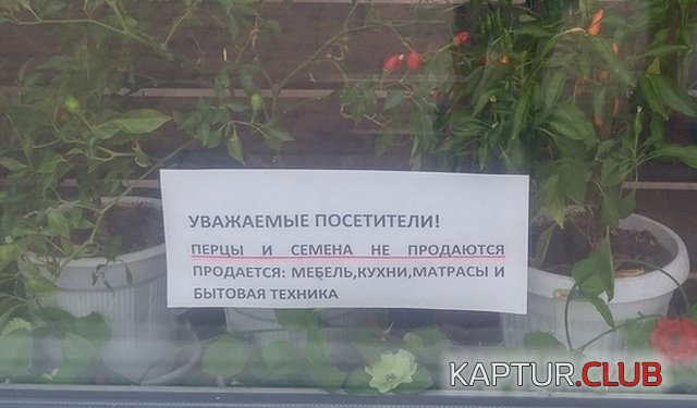 1537601222_kartinki_19.jpg | Рено Каптур Клуб Россия | Форум KAPTUR.SU