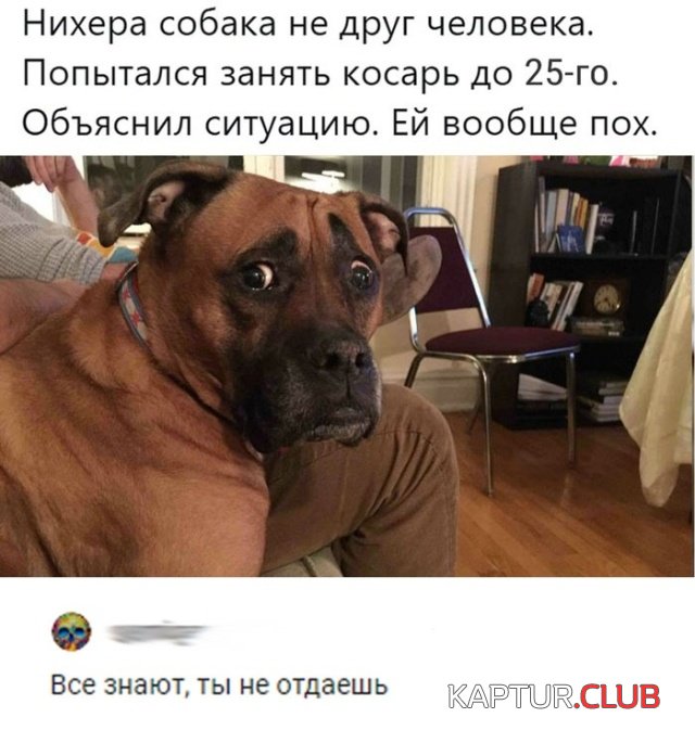 1537639989_kartinki_06.jpg | Рено Каптур Клуб Россия | Форум KAPTUR.SU