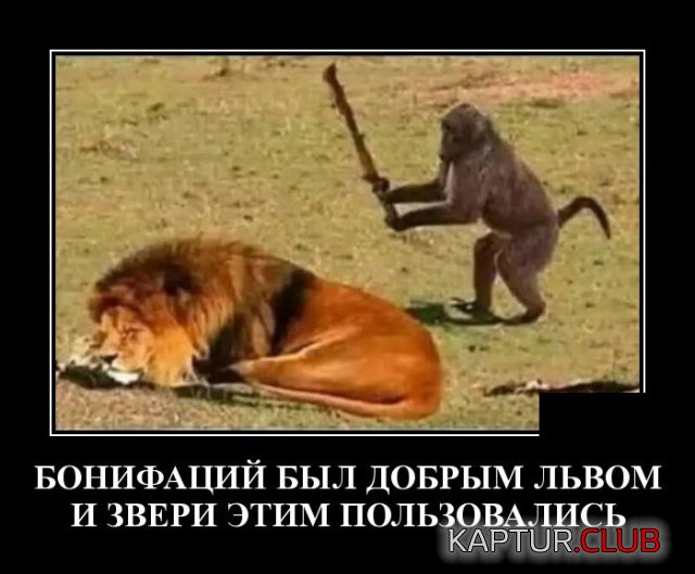 1537774706_demotivatory_02.jpg | Рено Каптур Клуб Россия | Форум KAPTUR.SU
