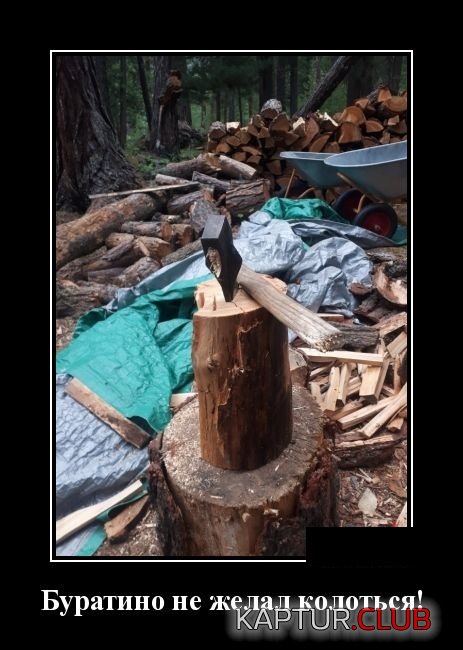 1537774732_demotivatory_06.jpg | Рено Каптур Клуб Россия | Форум KAPTUR.SU