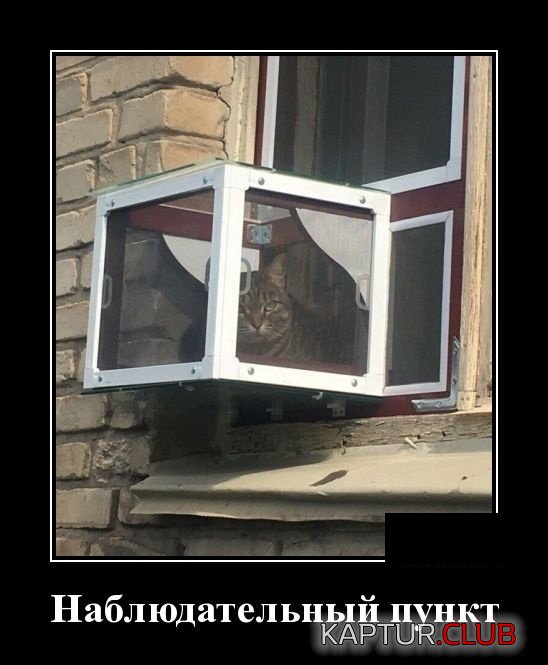 1537774736_demotivatory_20.jpg | Рено Каптур Клуб Россия | Форум KAPTUR.SU