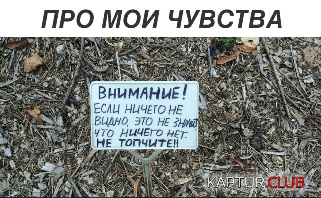 1537820881_podborka_dnevnaya_04.jpg | Рено Каптур Клуб Россия | Форум KAPTUR.SU