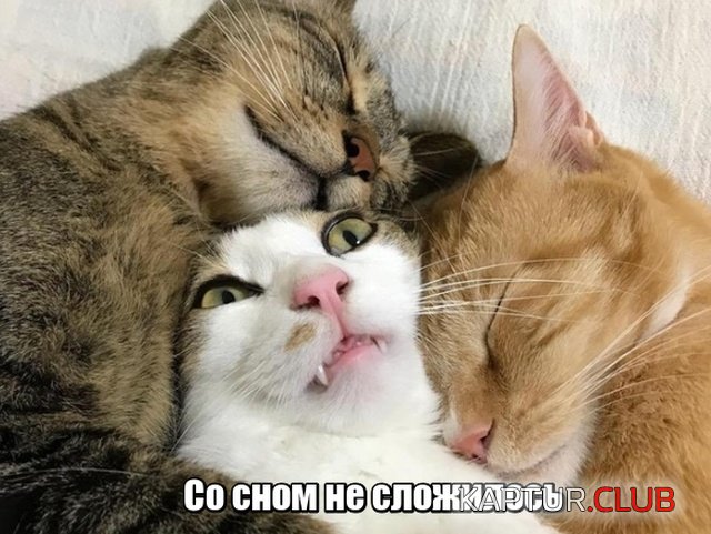 1538039475_podborka_vecher_01.jpg | Рено Каптур Клуб Россия | Форум KAPTUR.SU