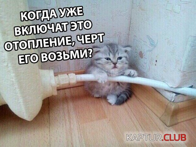 1538204666_kartinki_01.jpg | Рено Каптур Клуб Россия | Форум KAPTUR.SU
